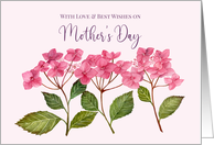 General Happy Mothers Day Pink Hydrangea Watercolor Painting card