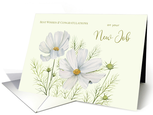 Congratulations on Your New Job Watercolor White Cosmos... (1988120)