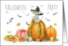 Halloween Party Cute Mouse and Pumpkins card