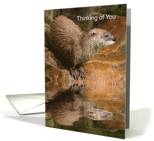 Thinking of You River Otter and Reflection in Still Waters Pun card