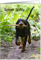 Coonhound Carrying a Big Stick Just for Fun Card