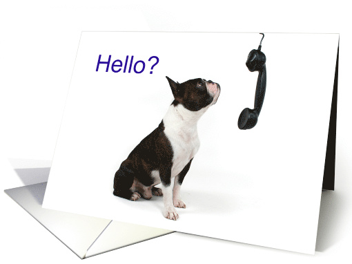 Boston Terrier with Telephone Handset Hello? Miss You! card (1756632)