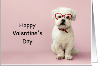 Valentine's Day dog...