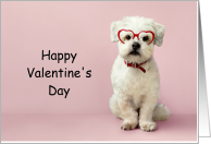 Valentine’s Day dog wearing red heart-shaped glasses card