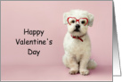 Valentine’s Day dog wearing red heart-shaped glasses card