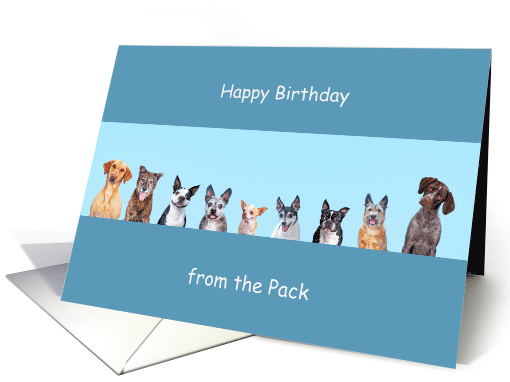 Humorous Happy Birthday from the Dog Pack Gender Neutral card