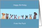 Humorous Happy Birthday from the Dog Pack Gender Neutral card