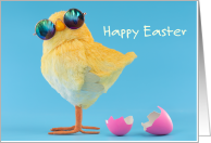 Happy Easter from Your Favorite Chick Wearing Large Round Mirrored Sunglasses Looking Cool card