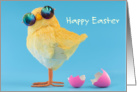 Happy Easter from Your Favorite Chick Wearing Large Round Mirrored Sunglasses Looking Cool card