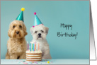 Happy Birthday from Both of Us Cute Dogs Wearing Party Hats card