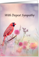 Red Cardinal Loss of Loved One With Deepest Sympathy card
