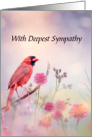 Red Cardinal Loss of Loved One With Deepest Sympathy card