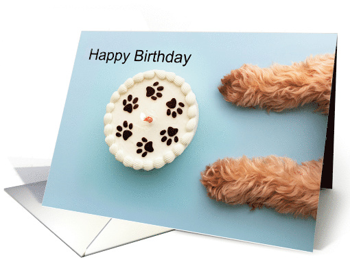 Sweet Birthday Wishes From Your Four-Legged Furry Friend card