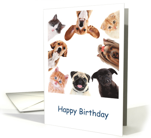 Happy Birthday from the Whole Gang Dogs and Cats card (1824620)