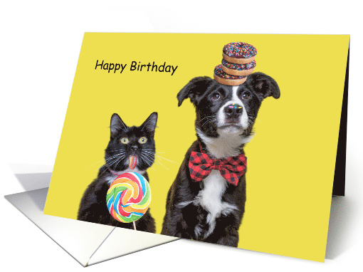 Happy Birthday Hope It's Sweet Dog and Cat with Candy and Donuts card