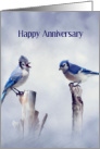 Happy Anniversary Two Blue Jays Perched Next to Each Other card
