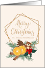 Pediatrician with Christmas Frame Pine Cones Spices and Holly card