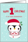 MY Grandnephew’s First Christmas with Baby Penguin in Diapers card