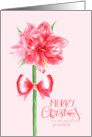 Merry Christmas Ex Fiancee with Watercolor Red Amaryllis Flower and Bow card