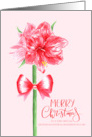 Merry Christmas Granddaughter and Grandson in Law with Red Amaryllis card