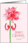 Merry Christmas Custom Name with Watercolor Red Amaryllis and Bow card