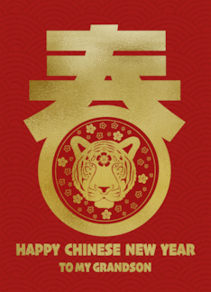My Grandson Chinese New Year Tiger Face in Spring Chinese character