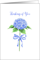 Thinking of You with Watercolor Blue Hydrangea Flower with Ribbon Bow card