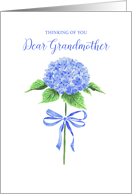 Thinking of You Grandmother with Watercolor Hydrangea Flower with Bow card