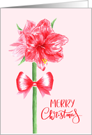 Merry Christmas with Watercolor Red Amaryllis Flower with Bow card