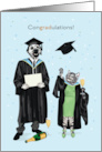 Graduation Congradulations Dalmatian and Cat in Black Cap and Gown card