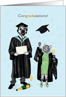 Graduation Congradulations Dalmatian and Cat in Black Cap and Gown card