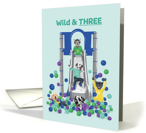 Birthday Age 3 Dogs and Cats Slide into Ball Pit card (1744500)