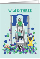 Birthday Age 3 Dogs and Cats Slide into Ball Pit card