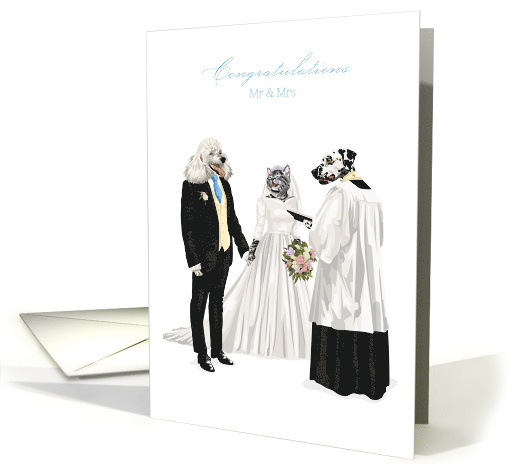 Wedding Congratulations Dalmatian and Cat Marriage Ceremony card