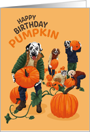 Birthday Dogs and Cats Picking Pumpkins card