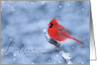 Beautiful Northern Cardinal in Snow Believe in the Magic of Christmas card