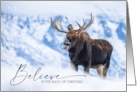 Holiday Moose in Christmas Snow in Grand Teton National Park card