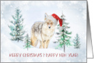 Wild Coyote Photographed in Yellowstone National Park Merry Christmas card