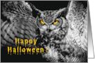 Happy Halloween Owl Nature Spooky Nature Yellow Eyes card