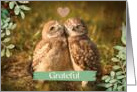 Thanksgiving Grateful Loving Owls Love Family Thankful Nature Lover card