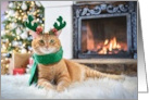 Holiday Christmas Orange Tabby Cat Next to Fireplace Wearing Scarf card