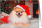 Holiday Christmas Cute Pomeranian Dog Next to Fireplace Wearing Hat card