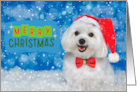 Merry Christmas Maltese Maltipoo Dog Snow Wearing Santa Hat Bow Tie card