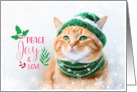 Christmas Holiday Orange Tabby Cat Snowy Peace Joy Love and Snowflakes card