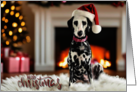 Dalmation Pet Christmas Holiday Card Pepper card