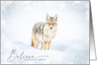 Gorgeous Coyote in Winter Wonderland Yellowstone Park Wildlife Nature card