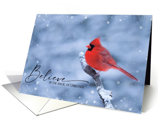 Beautiful Northern Cardinal in Snow Believe in the Magic... (1709034)