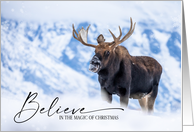 Holiday Moose in Christmas Snow in Grand Teton National Park card