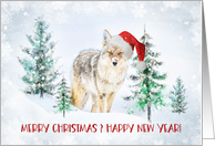 Wild Coyote Photographed in Yellowstone National Park Merry Christmas card