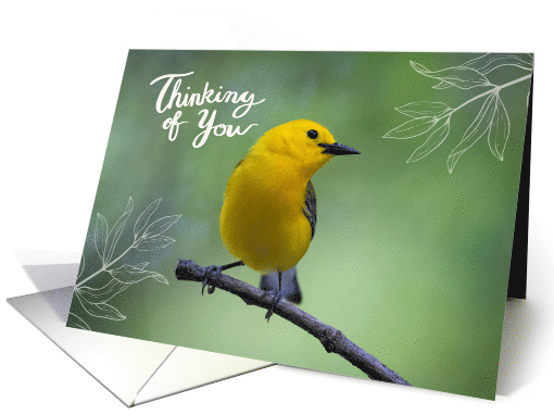 Thinking of You Blank Card Prothonotary Warber Yellow Bird Leaves card